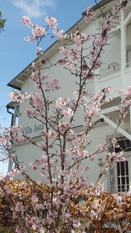 Appartement Asta Binz